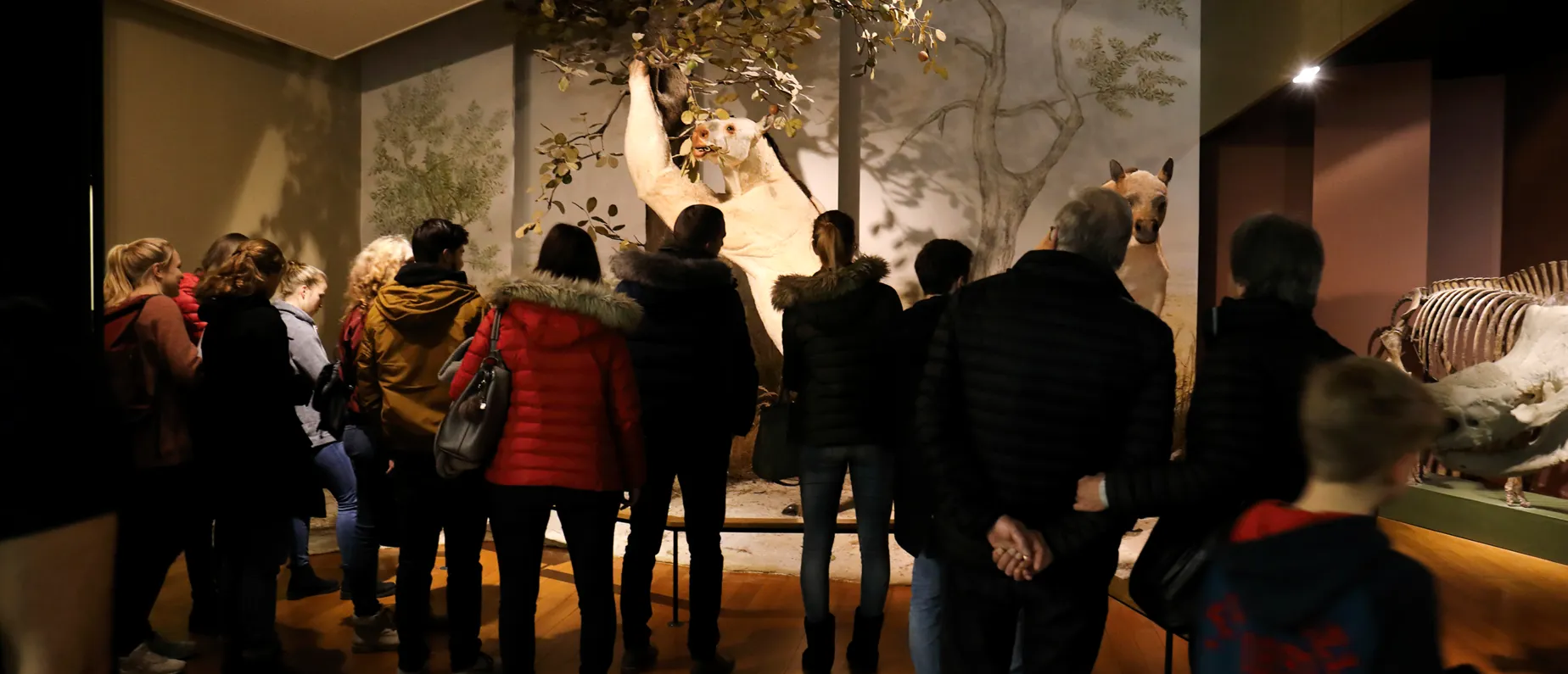 Impressionen Museumsnacht 2019