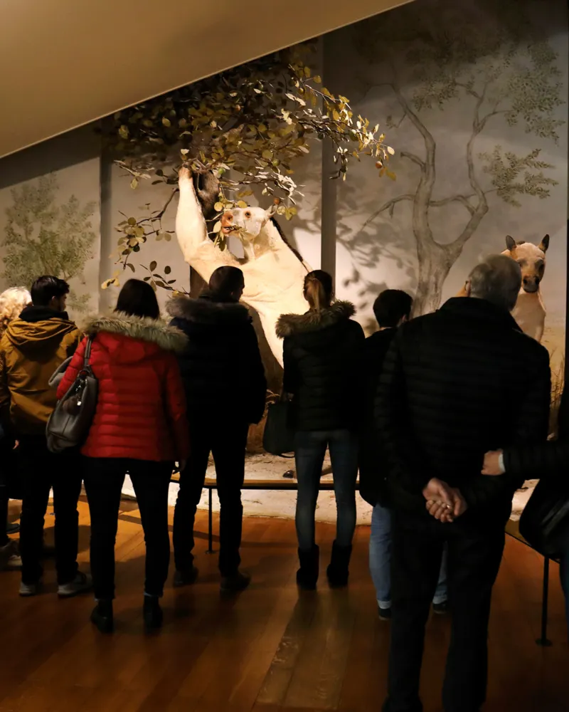 Impressionen Museumsnacht 2019