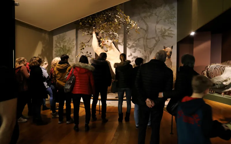 Impressionen Museumsnacht 2019