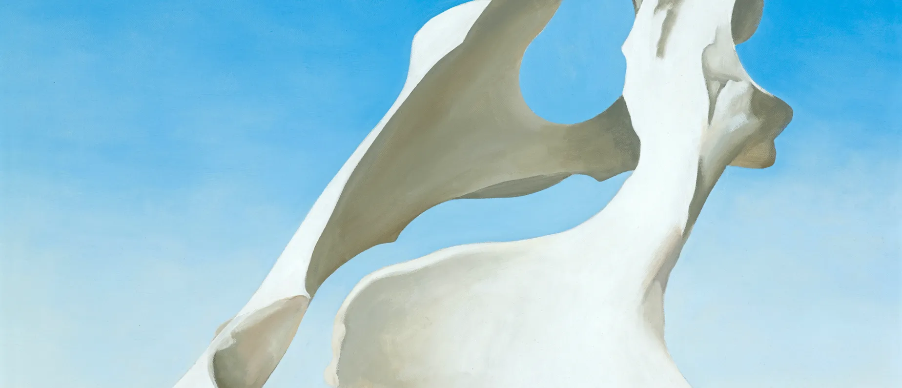 PELVIS WITH THE DISTANCE, 1943