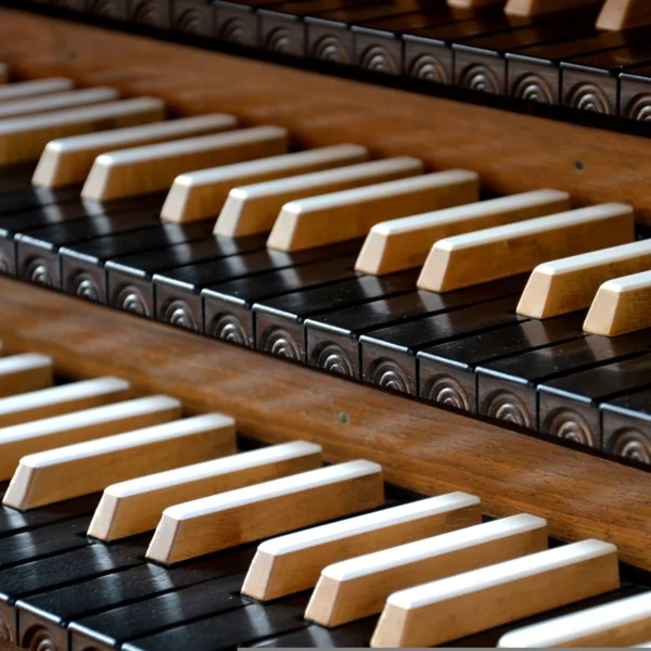 Orgelkonzert in der Kirche 