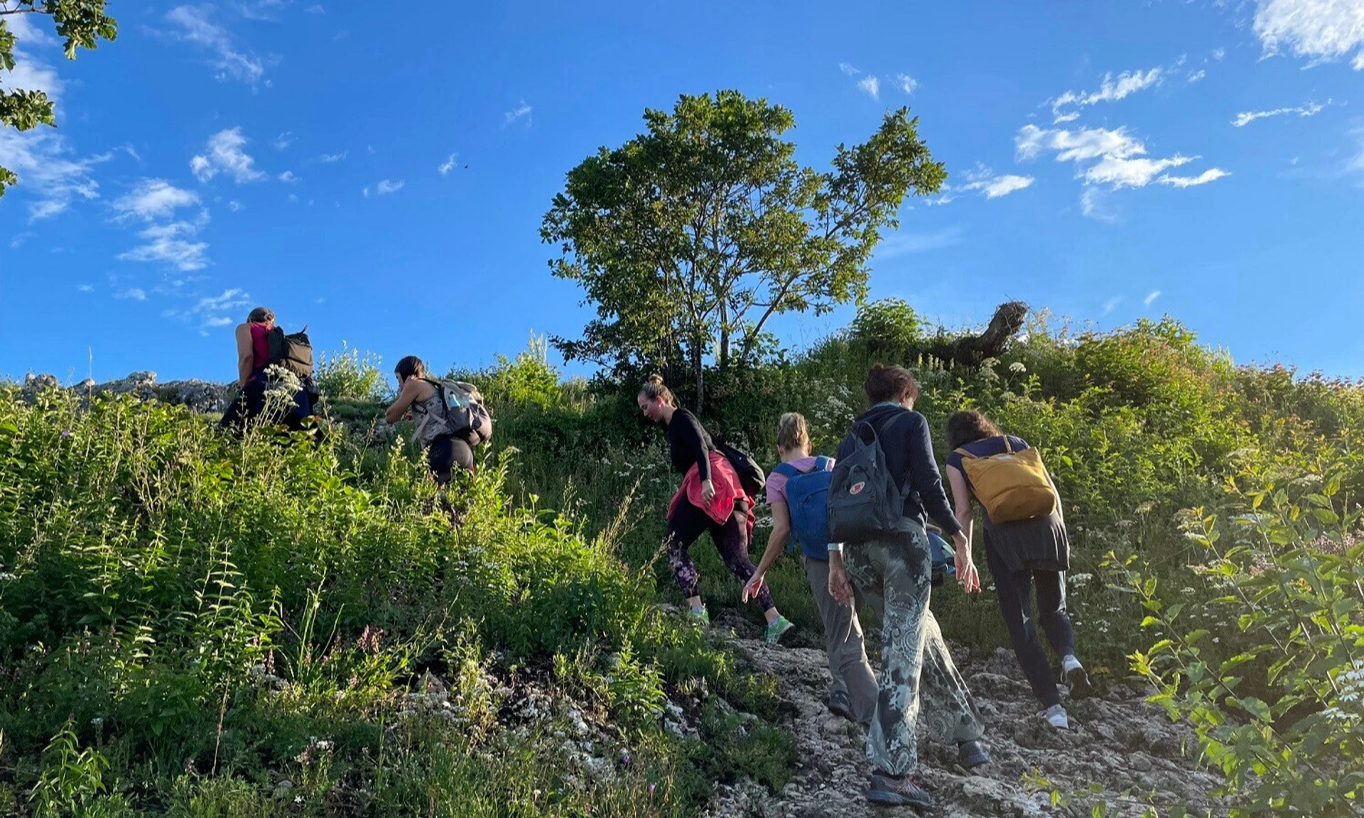 Wanderung von Aarau zu den Jurahöhen Wanderung von Aarau zu den Jurahöhen