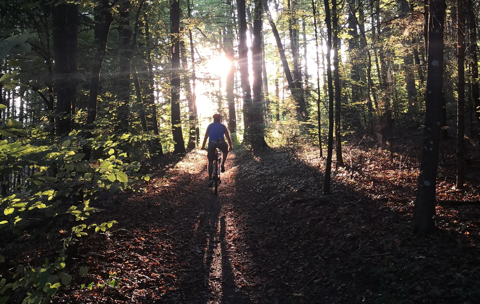 Outdoor Guide Aarau