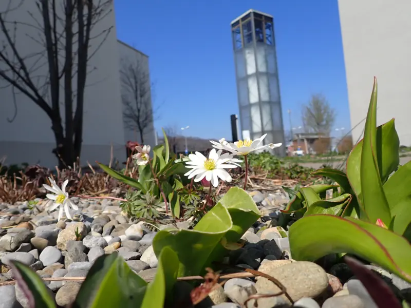 Was Sie schon immer über die Kirche und den Glauben wissen wollten