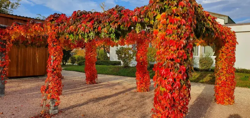 Pergola-Treff zum Thema "Glocken zwischen Heimatklängen und Ruhestörung"