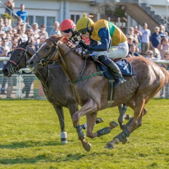 Pferderennbahn Schachen Pferderennbahn Schachen