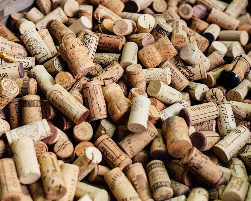 Vinothek Nobilvino