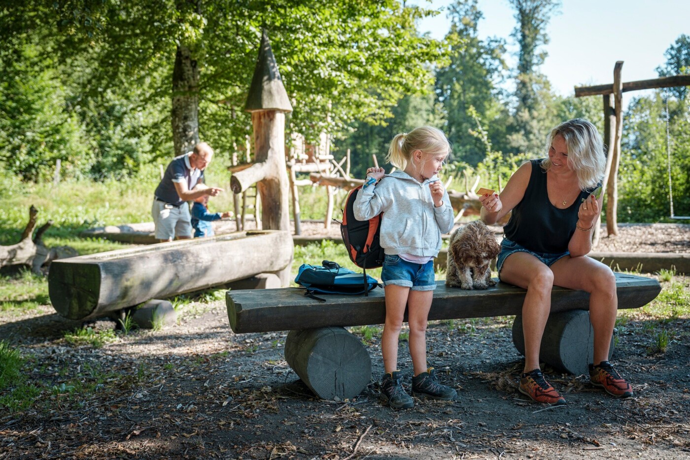 Erlebnisweg Aarauer Waldabenteuer