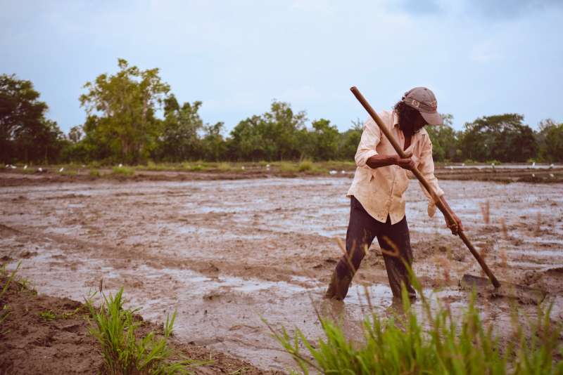 From Soil to Fork & Beyond: 8 Planetary Health – Landscape regeneration