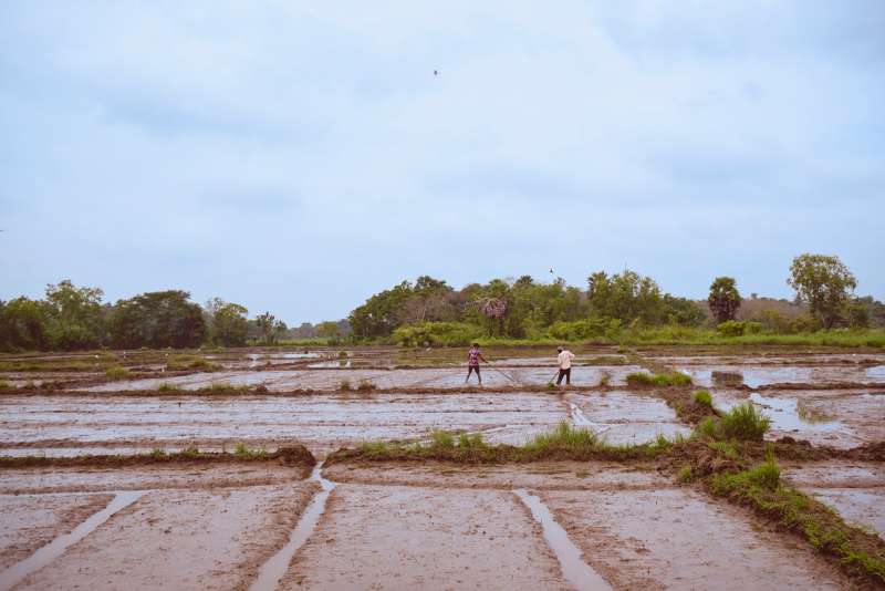 From Soil to Fork & Beyond: 5 Alternative Supply Chain