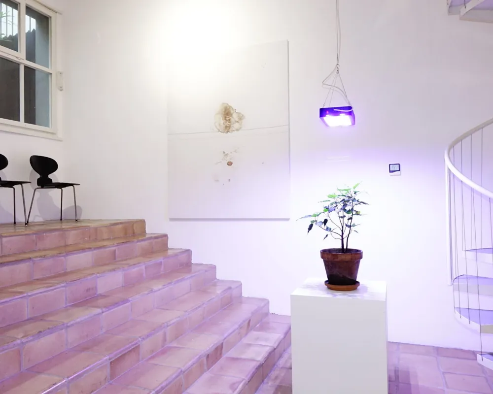 Praxis by Cyril Kazis