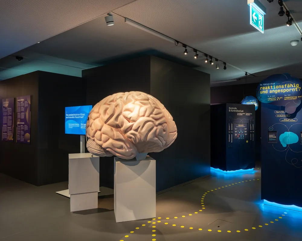 Verlockung, Faszination & Gefahr