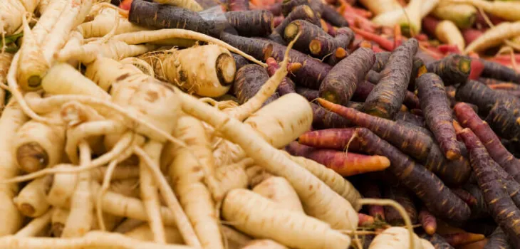 Highlight-Führung am Rüeblimärttag