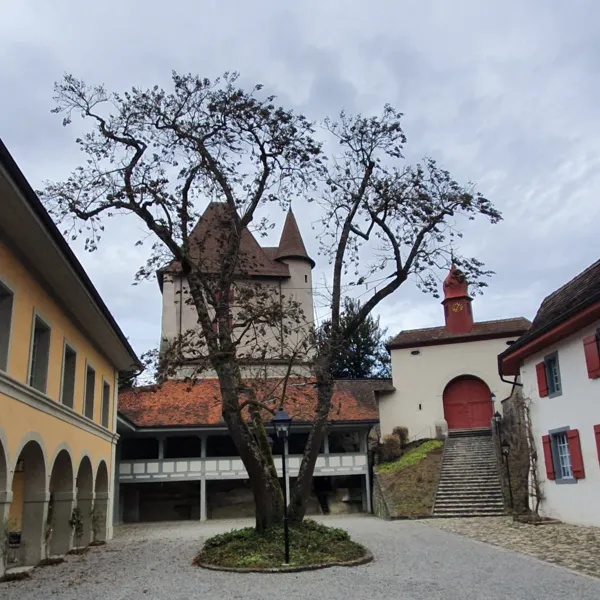 Schloss Liebegg