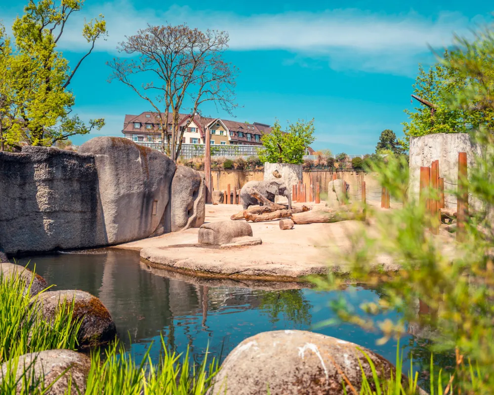 Wir schützen nur, was wir kennen und lieben