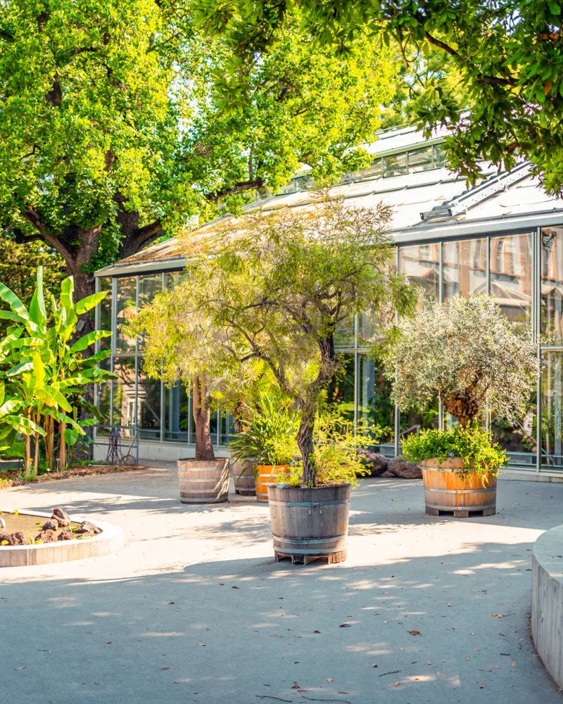 Botanischer Garten