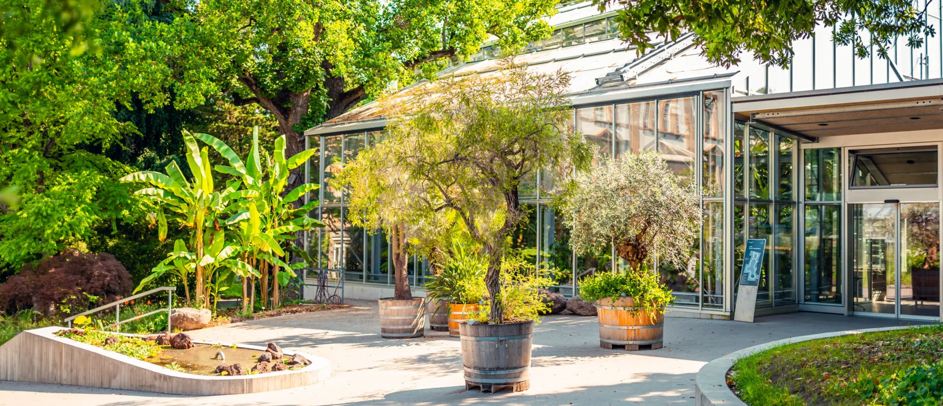 Botanischer Garten