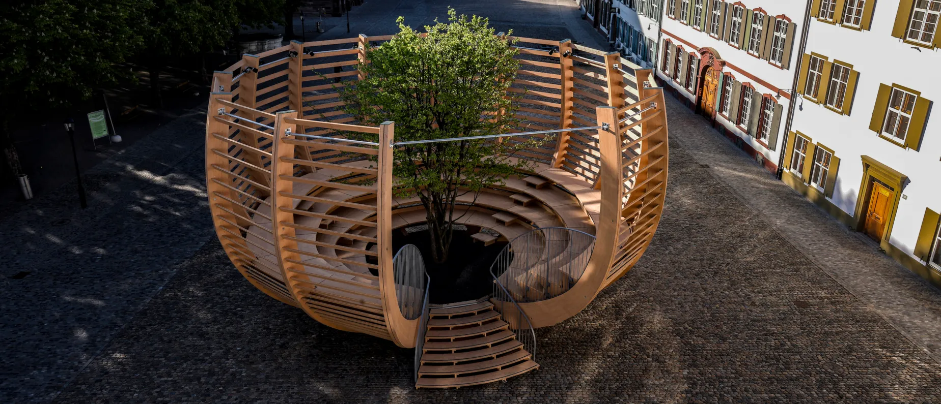 Arena für einen Baum - begehbare Kunstintervention von Klaus Littmann, Münsterplatz Basel, 2021, präsentiert von KBH.G