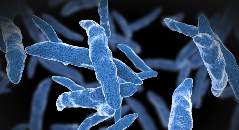 The Tuberculosis Pandemic – A Call to Action