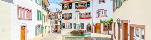 BaselLive Newsletter Edition #15