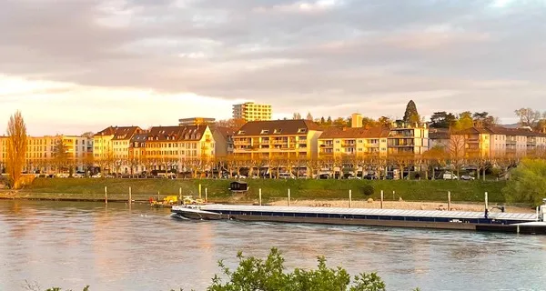 BaselLive Newsletter Edition #53