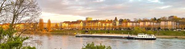 BaselLive Newsletter Edition #53