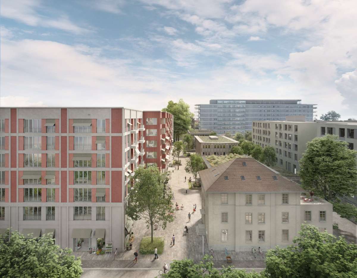 Neuer Wohn- und Lebensraum auf dem angrenzenden Westfeld