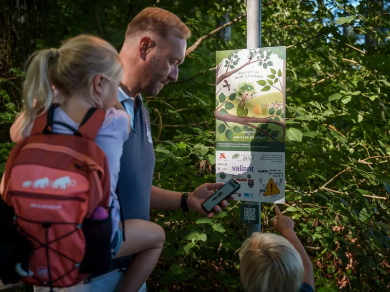 Erlebnisweg Aarauer Waldabenteuer