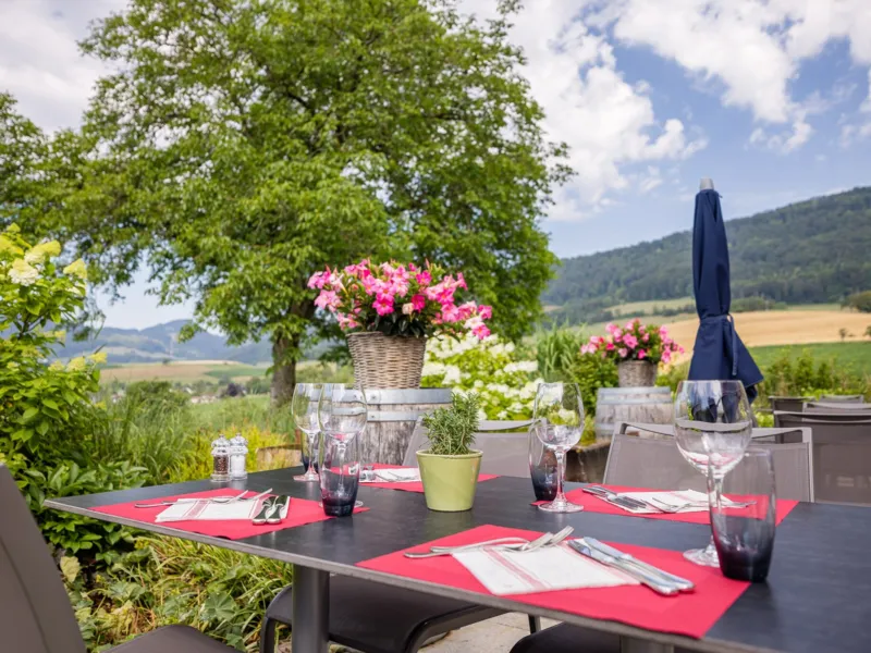 Terrasse Waldhaus Gehren