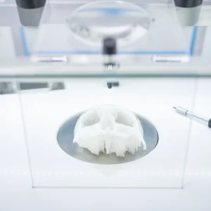 Department of Biomedical Engineering
