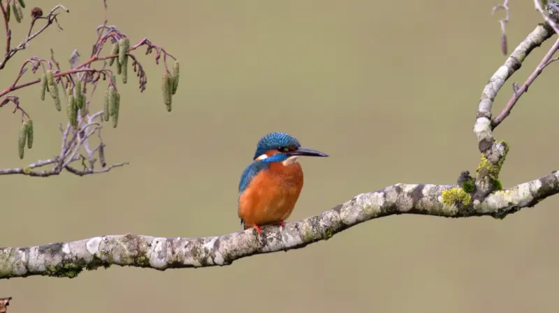"Schönheit, wohin das Auge blickt" - Natur-Fotografien von Reinhard Döbele